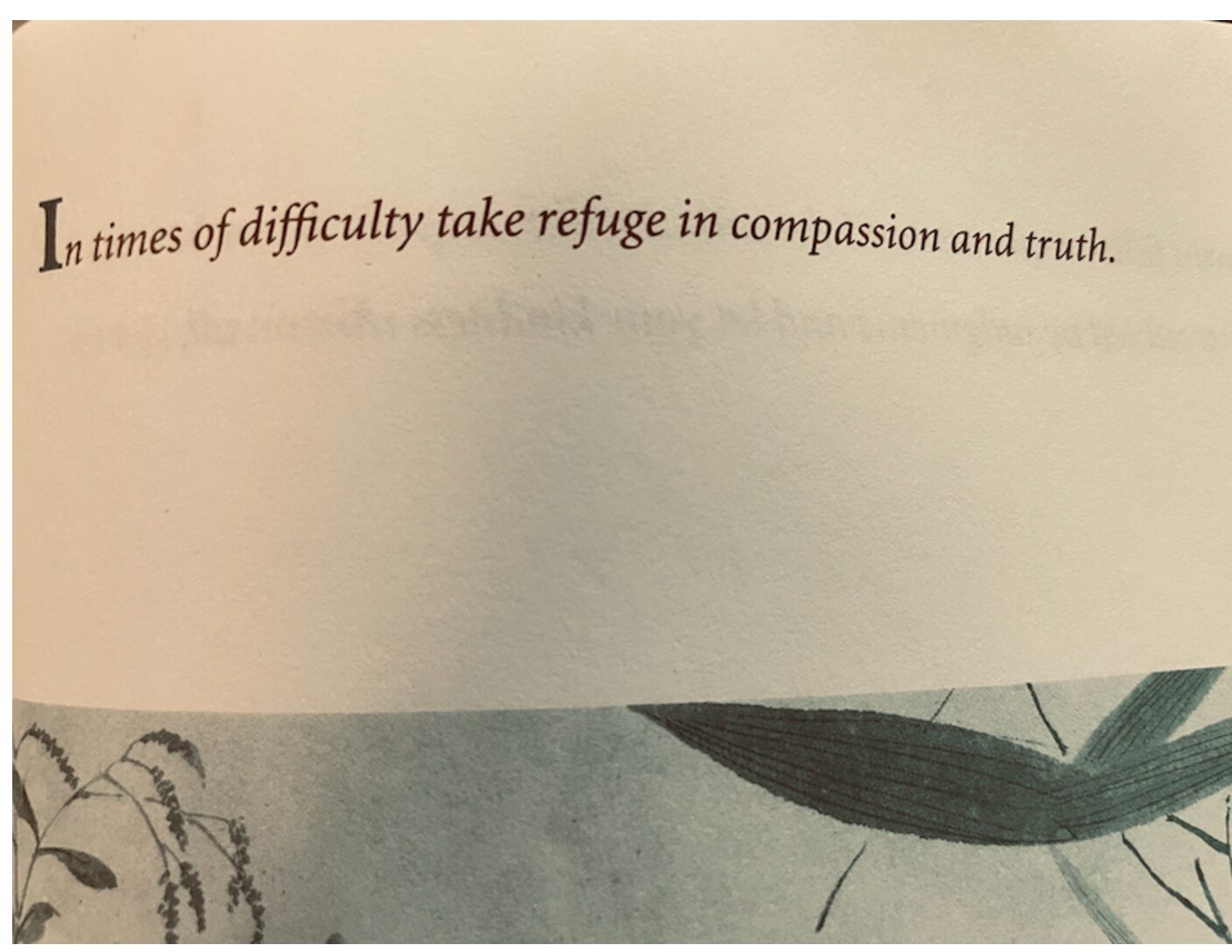 Opposition to ICE emerges nationwide